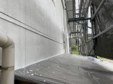 IMG_4525 IMG_4525
