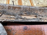 IMG_4902 IMG_4902