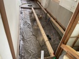 IMG_4918 IMG_49181
