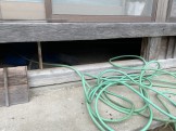 IMG_4941 IMG_4941