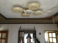 IMG_5204 IMG_5204