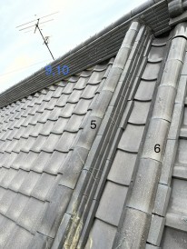 IMG_5277 IMG_5277