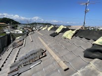 IMG_5598 IMG_5598