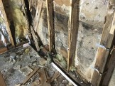 IMG_5854 IMG_5854