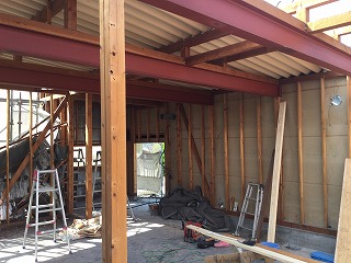 IMG_5884 IMG_5884