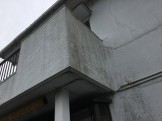 IMG_5912 IMG_5912