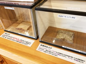 桐材と新建材のカビ実験