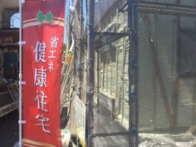 IMG_6133 IMG_6133