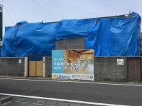 IMG_6195 IMG_61951