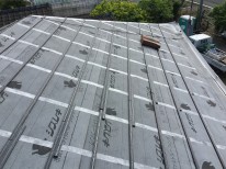 IMG_6259 IMG_62591