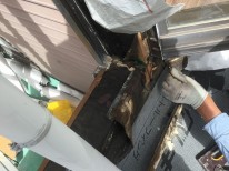 IMG_6307 IMG_6307