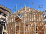 IMG_6423 IMG_6423