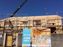 IMG_6464 IMG_6464