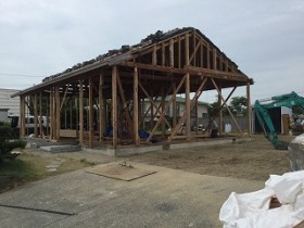 IMG_6493 IMG_6493