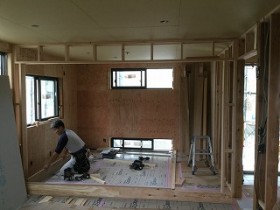 IMG_6524 IMG_6524