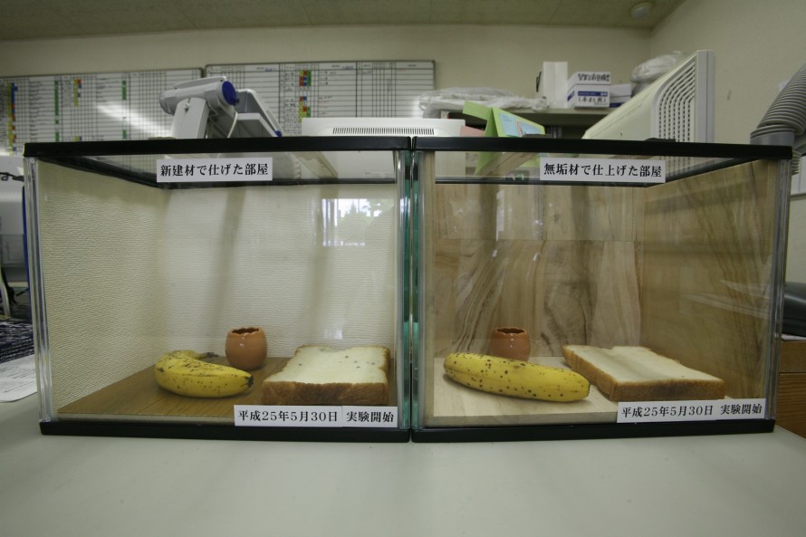 桐の調湿・抗菌実験 桐の調湿・抗菌実験