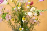 IMG_6948 IMG_6948
