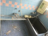 IMG_7165 IMG_7165