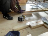 IMG_7343 IMG_7343