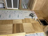 IMG_7586 IMG_7586