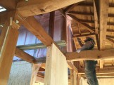 IMG_7785 IMG_7785