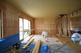 IMG_8005 IMG_8005