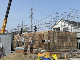 IMG_8712 IMG_8712