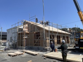 IMG_8756 IMG_8756