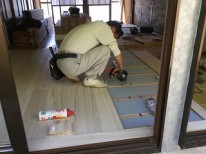 IMG_8762 IMG_8762