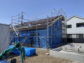IMG_8833 IMG_8833