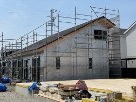 IMG_8899