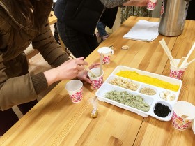木育広場米麹味噌で味噌玉づくり 木育広場米麹味噌で味噌玉づくり