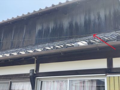 a95e4b89c9ce530da2deb97e0d5d2be8