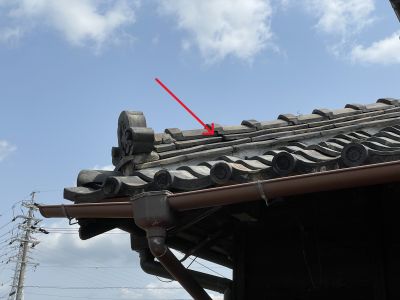 b3f5aa0db44efceb9e71c8918e909f72