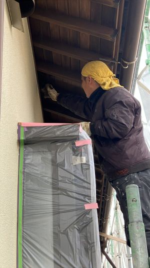 bc5d3e33511969d91d51c1e982c36ce2