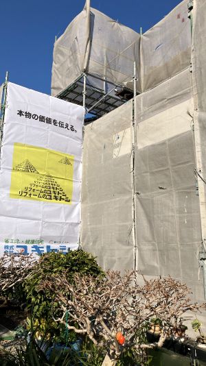 bea1404e1ab331c085c5472268277eae