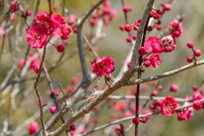 c171dcda32d7e987241ba9d16e1bb91a