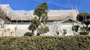 c2ec256550c2f21d26421a4d224f2612