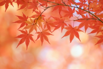 dbe64b71326c39ededf43dafbb921099