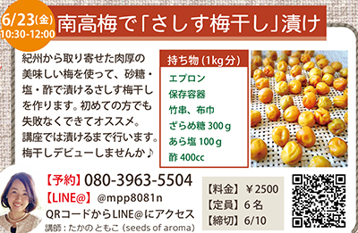 木育広場南高梅でさしす梅干漬け