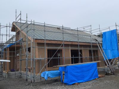 f1a6a7599a33fb8d0cad64b09e8cde3d1