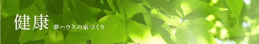 木材の基礎知識 木材の基礎知識