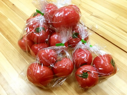内藤さんちのトマト