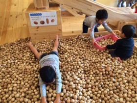 ユキトシ木育広場 ユキトシ木育広場