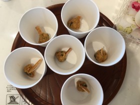 ユキトシ食育講座 ユキトシ食育講座