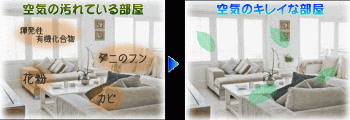 エアープロット|御前崎市・菊川市|リノベーション・総合リフォーム