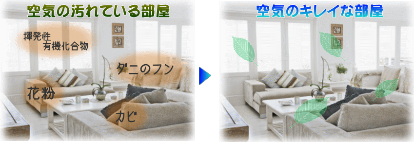 エアープロットで空気中のアレルゲンを分解 エアープロットで空気中のアレルゲンを分解