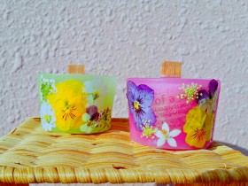 seedsofaroma seedsofaroma