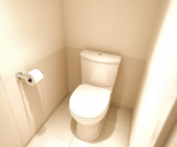 toilet_realistic01