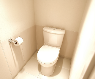 toilet_realistic01